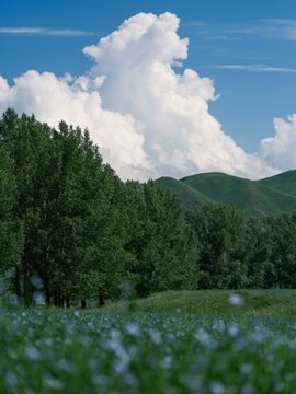 Serene Natural Landscape with Blue Sky, Green Forest, and Rolling Hills