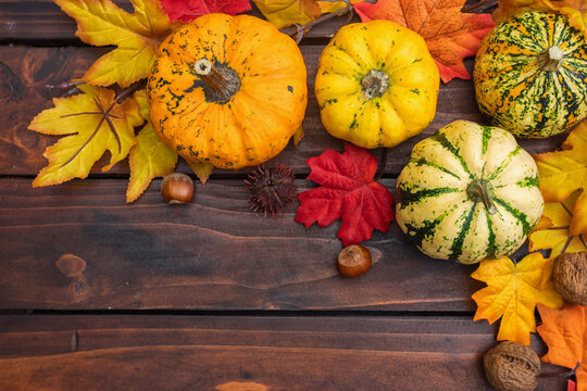 Autumn background with pumpkins and colorful leaves