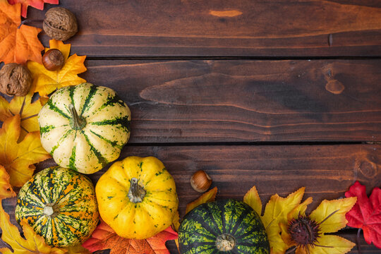 Autumn background with pumpkins and colorful leaves