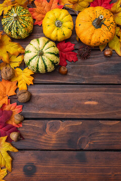 Autumn background with pumpkins and colorful leaves