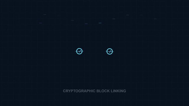 Blockchain data assembly and cryptographic network visualization