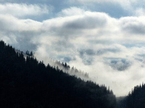 Mountain hiking to Bodenschneid mountain in springtime, Bavaria, Germany
