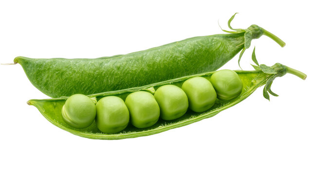 Fresh green pea pods with visible round peas, isolated on transparent background