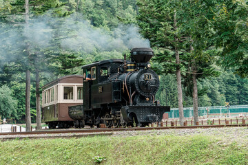 Amemiya 21 steam locomotive running through a forest in Engaru, Hokkaido, Japan © harumachi