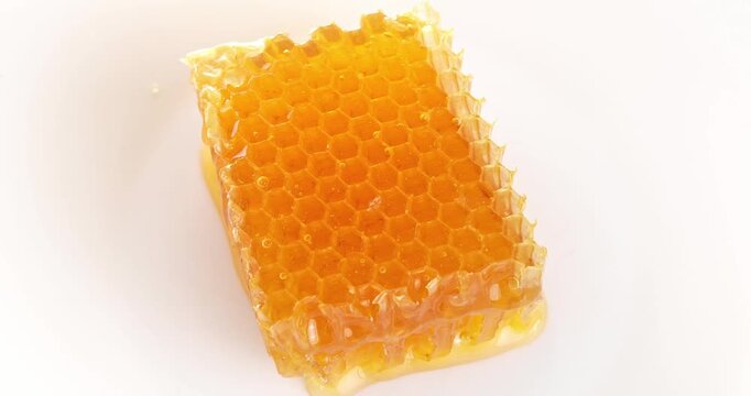 Piece of honeycomb close-up video on rotating table. Top view.