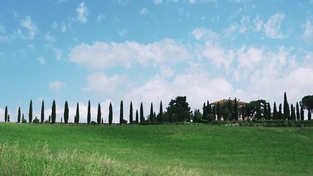 Panorama of Tuscany countryside with cypress trees and house under bright blue sky