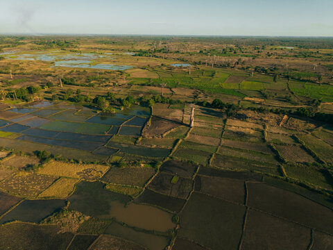 Aerial view of scattered baobab trees standing amidst patchwork agricultural fields and flooded rice paddies in the rural landscape of Morondava, Menabe, Madagascar.