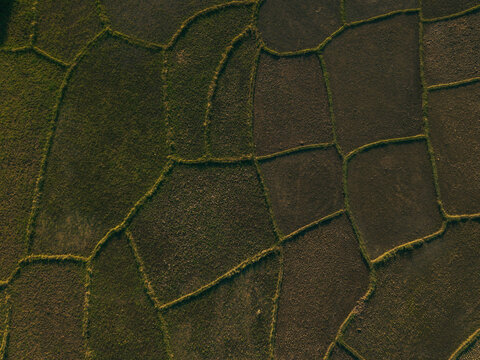 Aerial view of geometric agricultural fields with textured soil and green vegetation in Morondava, Menabe, Madagascar.