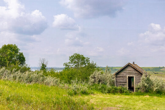 Weathered Wooden Cabin Surrounded by Wildflowers and Prairie Grass