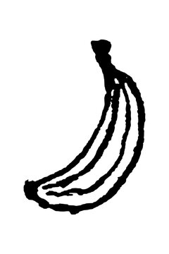 banana vector sketch