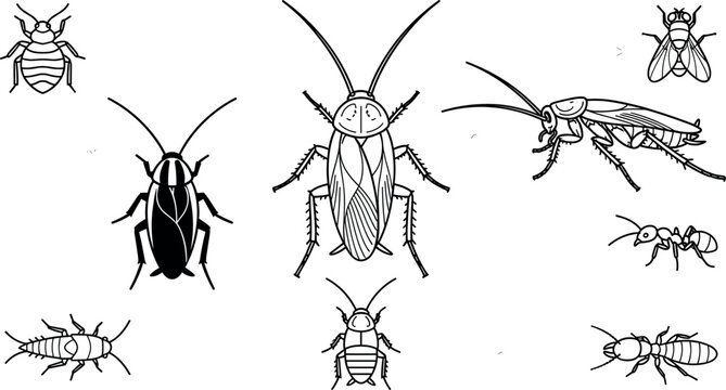 Household pest insect icon set with cockroach termite and bedbug outline elements for exterminator branding and pest control service design