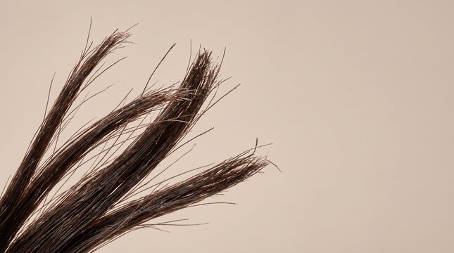 Close up of dry hair with split ends and damaged strands