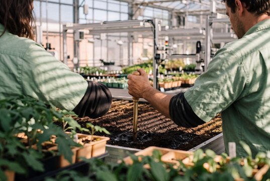 Two agricultural workers planting and aerating rich soil in a modern greenhouse nursery
