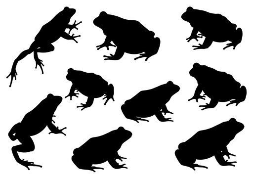 Set of black frog silhouettes in various poses and positions for nature and wildlife design projects