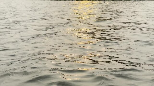 Golden Sunlight Reflection on Gentle Water Waves, Calm River Surface Background