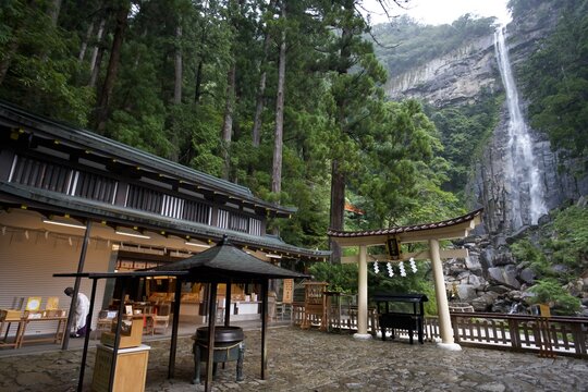 那智の滝を望む飛瀧神社の社殿と鳥居が佇む神聖な森の雨上がり風景  
Sacred post‑rain forest scene featuring the shrine and torii of Hirou‑jinja overlooking Nachi Waterfall
