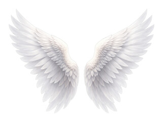 Fototapeta premium PNG Elegant white angel wings illustration.
