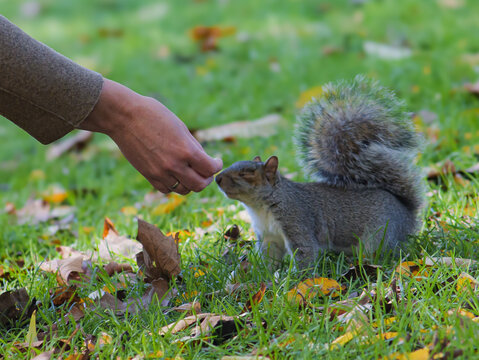 A person's hand reaches toward a smal