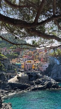 Picturesque view of Manarola, one of Cinque Terre's iconic villages, showcases colorful hillside houses overlooking the Mediterranean Sea, framed by lush trees and cliffs, vertical video