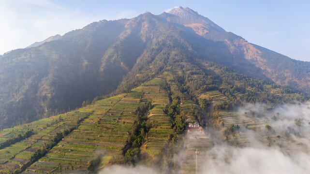 Aerial view of the terraced agricultural fields and the volcanic slopes of Mount Merapi near New Selo, Selo, Central Java, Indonesia.