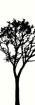 Walnut tree silhouette against a contrasting background, emphasizing its unique shape, black, walnut