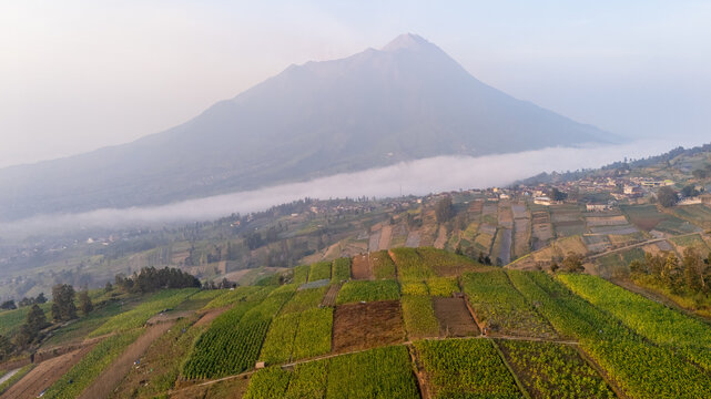 Aerial view of Mount Merapi rising above terraced agricultural fields and a layer of mist in the village of Selo, Central Java, Indonesia.