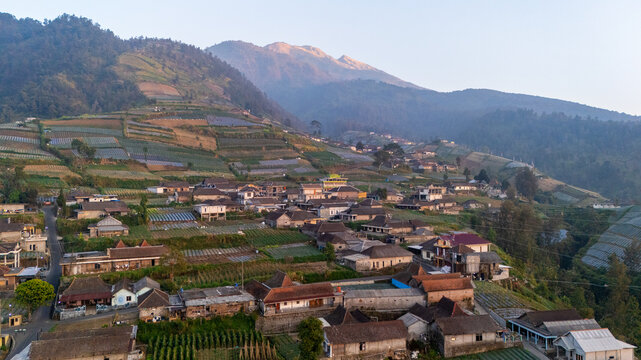 Aerial view of the village of Selo nestled on the slopes of Mount Merbabu with terraced vegetable fields and traditional houses in Selo, Central Java, Indonesia.