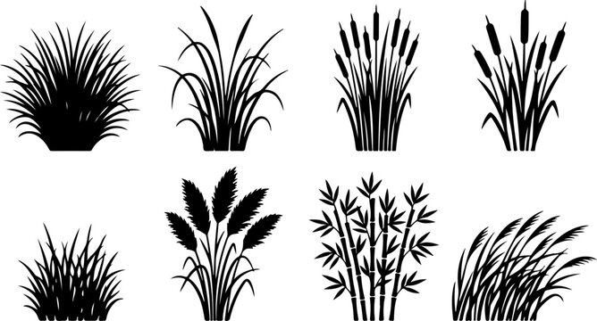 Set of black silhouettes of various swamp plants and grass vector illustration