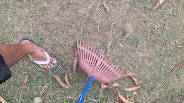 Person sweeping dry leaves and grass on a yard with a plastic rake for cleaning, lawn maintenance, and housekeeping concept
