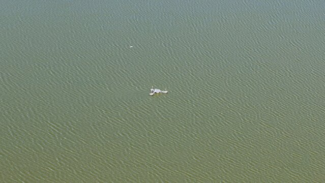 Aerial view of a floating aeration device on the calm surface of Gaynor Lake in Boulder County, Colorado, United States.