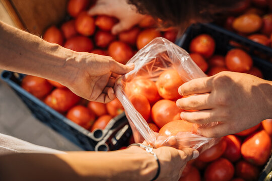 Mother and teenage son with Down syndrome packing fresh tomatoes during local market shopping