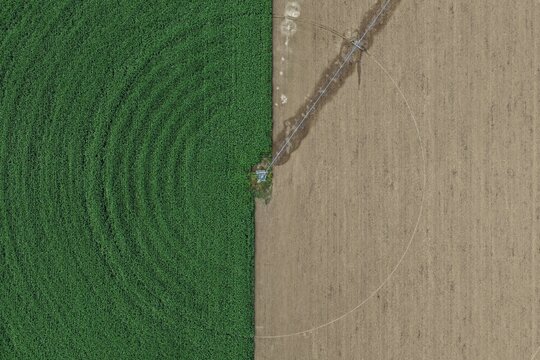 Aerial view of a center-pivot irrigation system in a farm field with a distinct contrast between green crops and harvested brown soil in Johnstown, Colorado, United States.