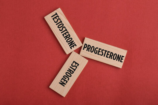 Wooden blocks labeled TESTOSTERONE, PROGESTERONE, and ESTROGEN on a red background, representing hormones, reproductive health, hormone balance, and medical research.
