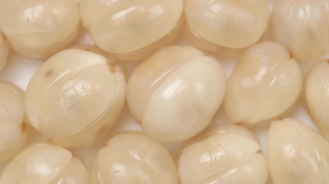 A pile of peeled longkong fruit rotating, Thai fruit, Top view shot