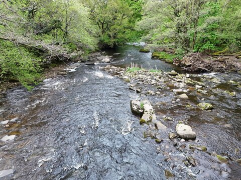 Aerial view of the River Ure flowing through the lush green countryside near Middleham, England, United Kingdom.