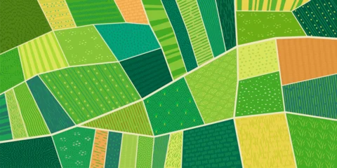 Rural farm field top view background, green agriculture plantation abstract pattern. Aerial map of countryside landscape top view with green grass meadow and vineyard, corn rice and wheat farm fields © Vector Tradition
