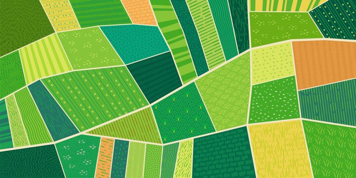 Rural farm field top view background, green agriculture plantation abstract pattern. Aerial map of countryside landscape top view with green grass meadow and vineyard, corn rice and wheat farm fields