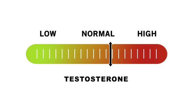 Dynamic testosterone level indicator gauge moving from low to range for medical health analysis, hormone balance monitoring, endocrinology research, and clinical diagnostic presentation