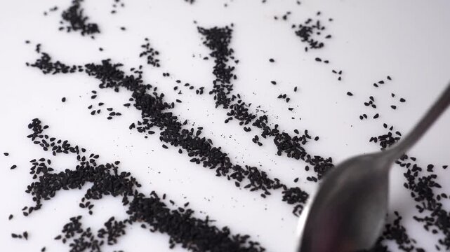 Black cumin seeds or Nigella sativa shaped into tree pattern with spoon on white surface, minimalist food art and culinary concept