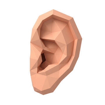 3D Low Poly Human Ear Model on Black Background
