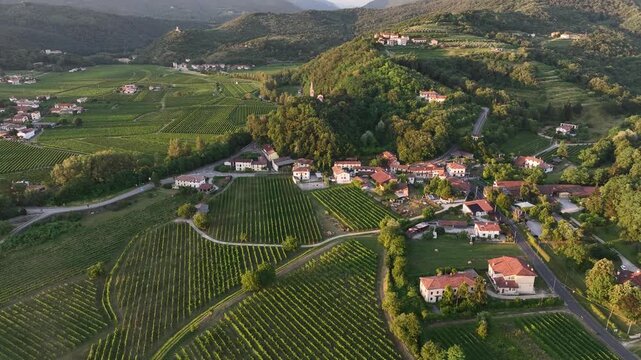 Beautiful drone overview shows green rolling vineyards near Cividale town. Rural houses and organized agricultural lines cover historic countryside during golden hour sunset light.