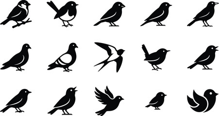 Fototapeta premium Fifteen black silhouette of various small birds including sparrows, pigeons, and songbirds in different poses on a white background