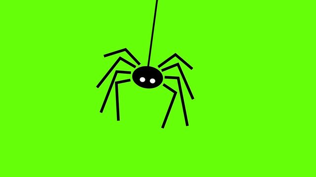 Creepy Spider Hanging and Swinging Green Screen