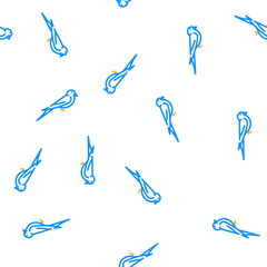 Fototapeta premium swift bird vector seamless pattern swift bird sign illustration
