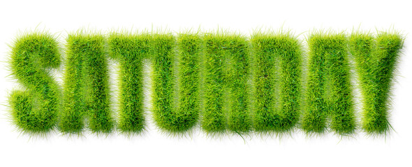 Saturday word rendered in realistic green grass texture isolated on a transparent background © Mahmud