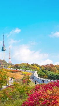 Vertical video, 4k Timelapse Autumn season, Seoul City South Korea and blue sky
