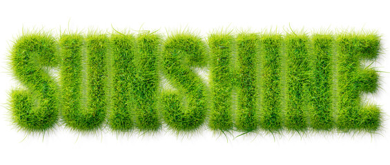 Sunshine word rendered in realistic green grass texture isolated on a transparent background © Mahmud