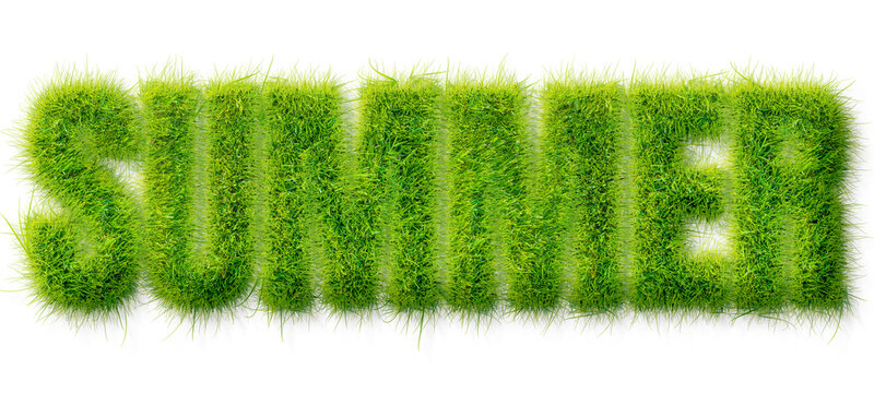 Summer word text effect with realistic green grass texture isolated on transparent background