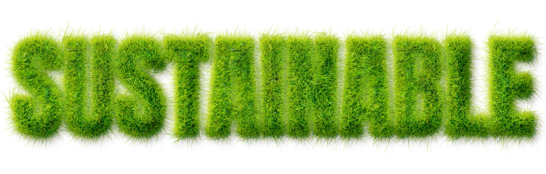 Sustainable Word Written in Realistic Green Grass Texture Typography Isolated on Transparent