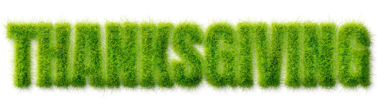 Thanksgiving Word Written in Realistic Green Grass Texture Typography Isolated Design Asset